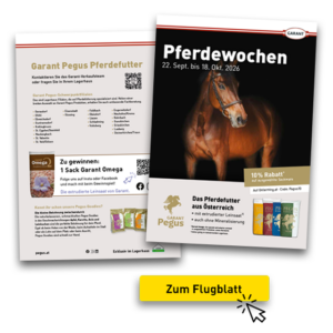 Pferdewochen 2026_Pferdefutter in Aktion_zum Flugblatt_560x560
